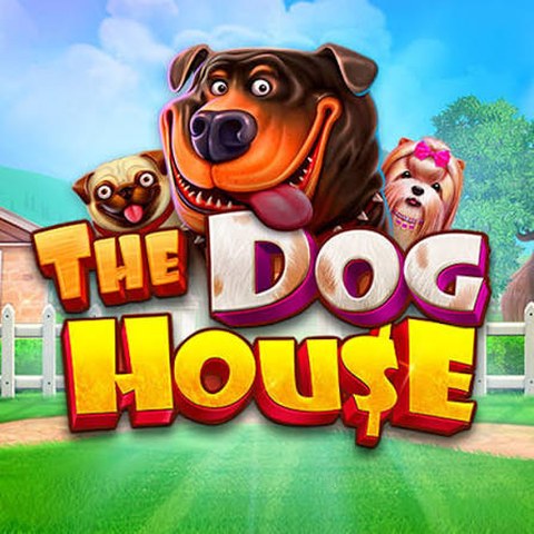 Превью слота The Dog House студии Pragmatic Play